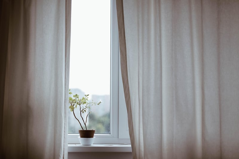 Windowsill Herb Garden